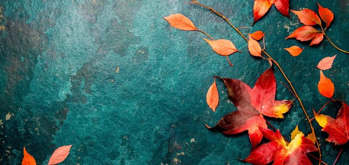 poesia dogen foglie cremisi sbiancate