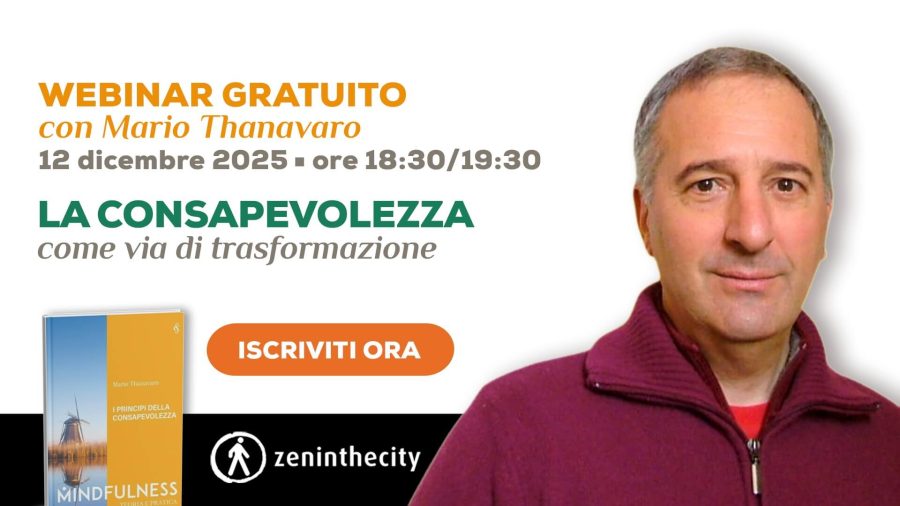 banner-webinar-thanavaro webinar con mario thanavaro